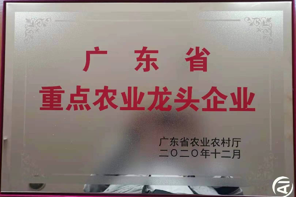 更上一层楼！追求无止境
